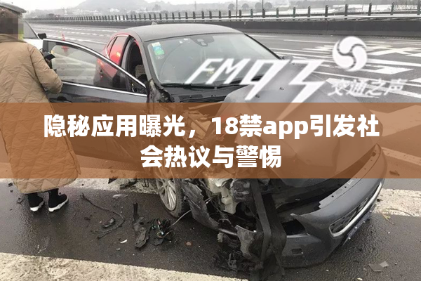 隐秘应用曝光，18禁app引发社会热议与警惕