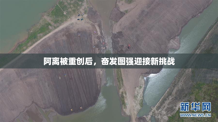 阿离被重创后，奋发图强迎接新挑战