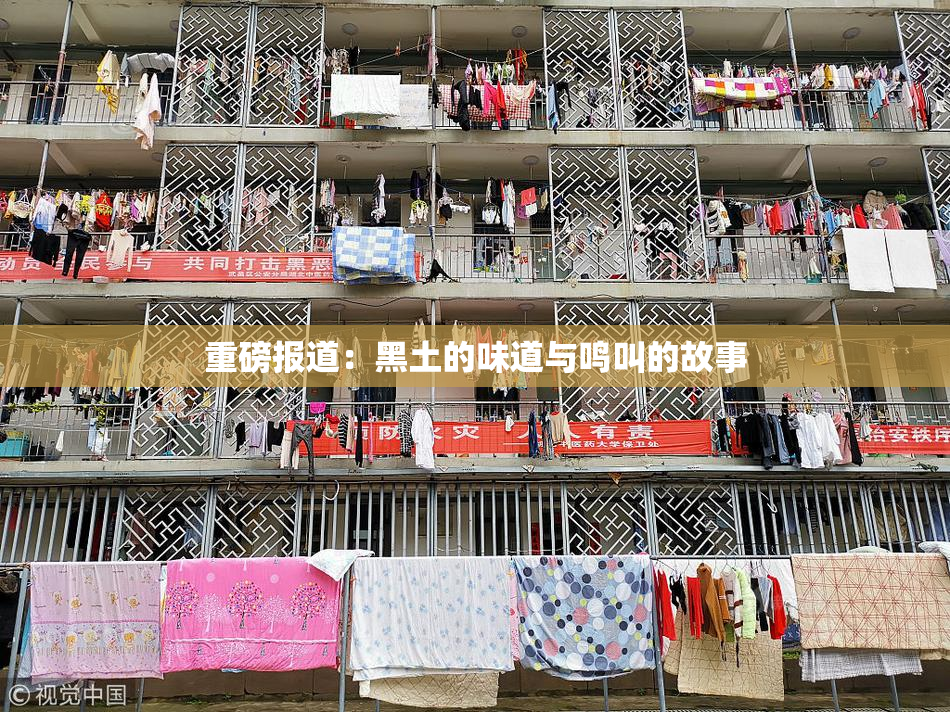 重磅报道：黑土的味道与鸣叫的故事