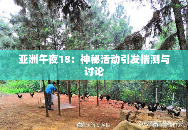 亚洲午夜18：神秘活动引发揣测与讨论