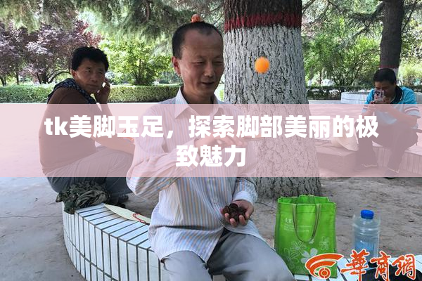 tk美脚玉足，探索脚部美丽的极致魅力