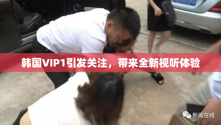 韩国VIP1引发关注，带来全新视听体验