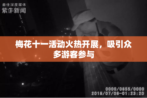梅花十一活动火热开展，吸引众多游客参与