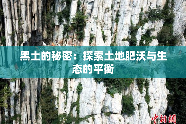 黑土的秘密：探索土地肥沃与生态的平衡