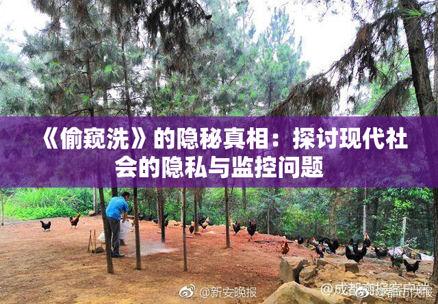 《偷窥洗》的隐秘真相：探讨现代社会的隐私与监控问题