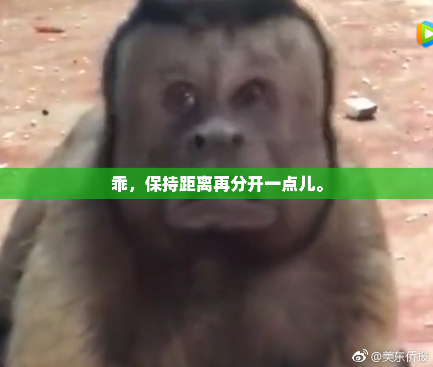乖，保持距离再分开一点儿。