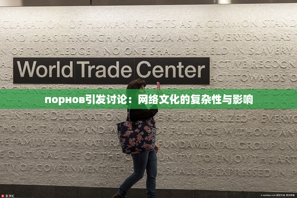 порнов引发讨论：网络文化的复杂性与影响