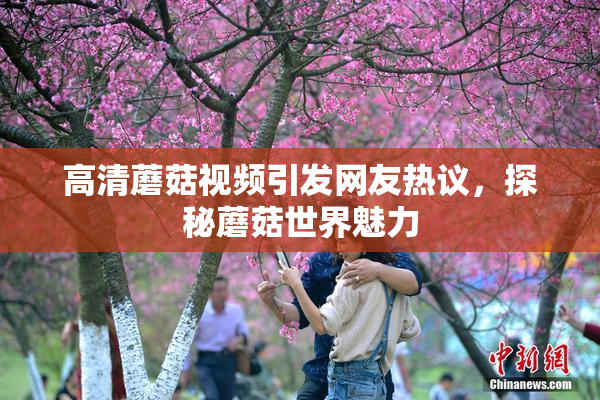 高清蘑菇视频引发网友热议，探秘蘑菇世界魅力