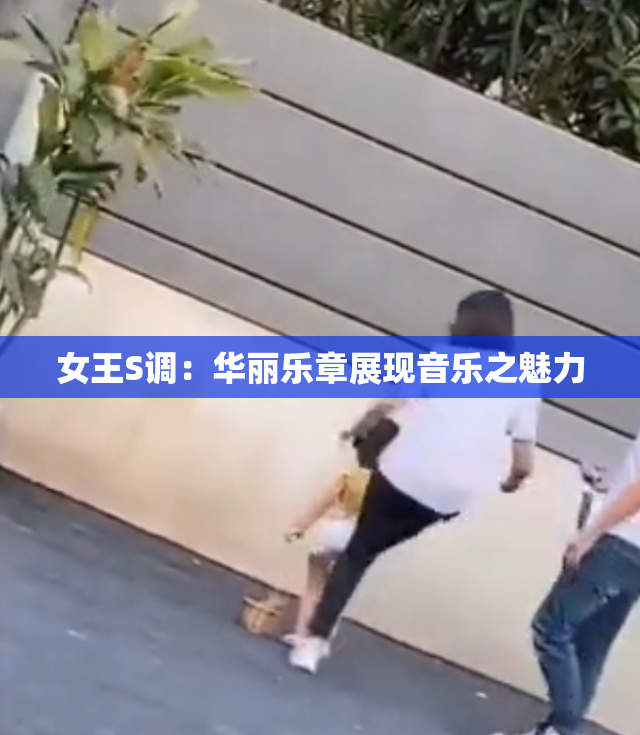 女王S调：华丽乐章展现音乐之魅力