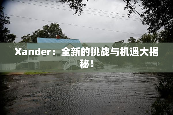 Xander：全新的挑战与机遇大揭秘！