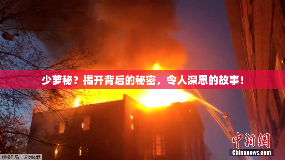 少萝秘？揭开背后的秘密，令人深思的故事！