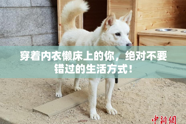 穿着内衣懒床上的你，绝对不要错过的生活方式！