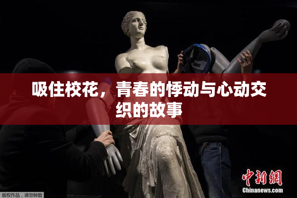 吸住校花，青春的悸动与心动交织的故事