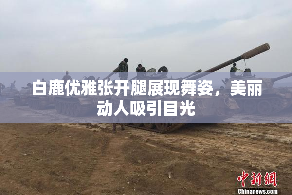 白鹿优雅张开腿展现舞姿，美丽动人吸引目光