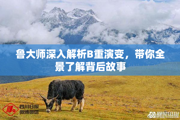 鲁大师深入解析B重演变，带你全景了解背后故事