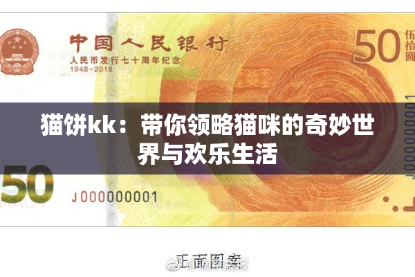 猫饼kk：带你领略猫咪的奇妙世界与欢乐生活