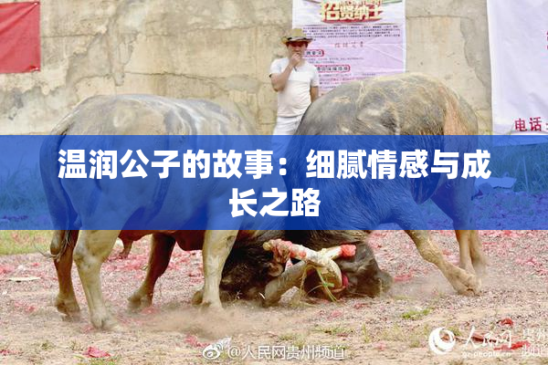 温润公子的故事：细腻情感与成长之路