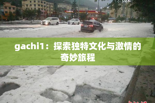gachi1：探索独特文化与激情的奇妙旅程