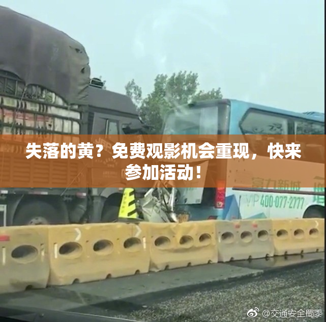 失落的黄？免费观影机会重现，快来参加活动！