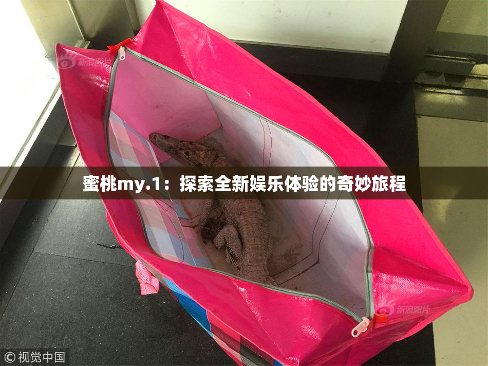 蜜桃my.1：探索全新娱乐体验的奇妙旅程