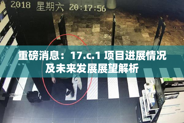 重磅消息：17.c.1 项目进展情况及未来发展展望解析
