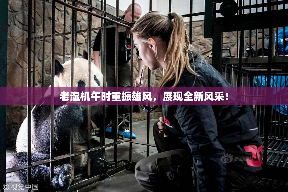 老湿机午时重振雄风，展现全新风采！