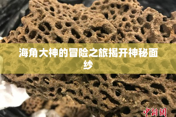海角大神的冒险之旅揭开神秘面纱
