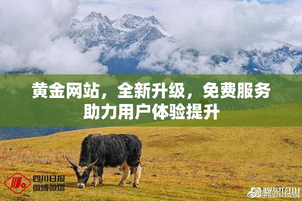 黄金网站，全新升级，免费服务助力用户体验提升