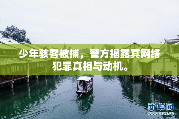 少年骇客被捕，警方揭露其网络犯罪真相与动机。