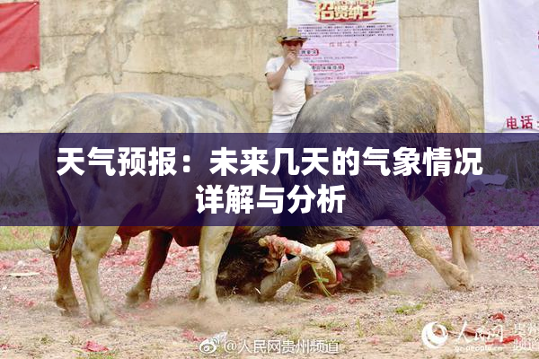 天气预报：未来几天的气象情况详解与分析