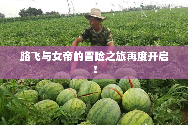 路飞与女帝的冒险之旅再度开启！