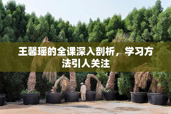 王馨瑶的全课深入剖析，学习方法引人关注