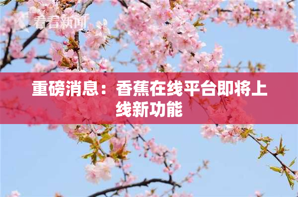 重磅消息：香蕉在线平台即将上线新功能