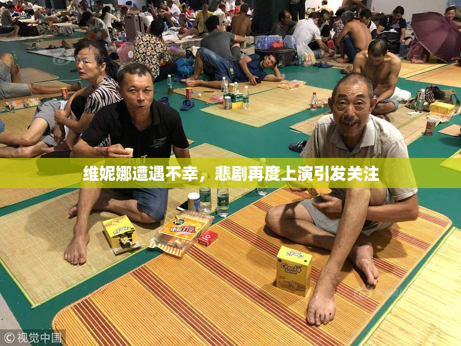 维妮娜遭遇不幸，悲剧再度上演引发关注