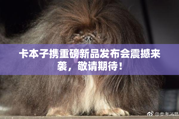 卡本子携重磅新品发布会震撼来袭，敬请期待！