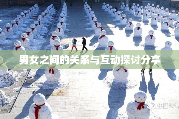 男女之间的关系与互动探讨分享