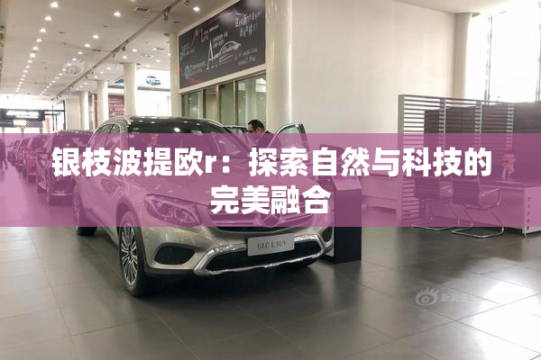 银枝波提欧r：探索自然与科技的完美融合