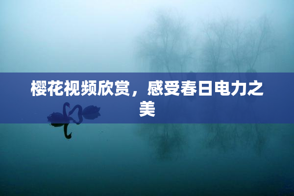 樱花视频欣赏，感受春日电力之美