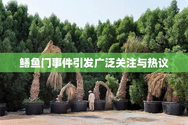 鳝鱼门事件引发广泛关注与热议