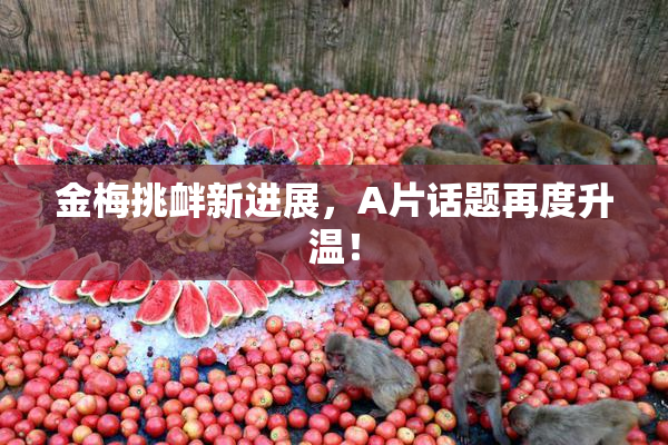 金梅挑衅新进展，A片话题再度升温！