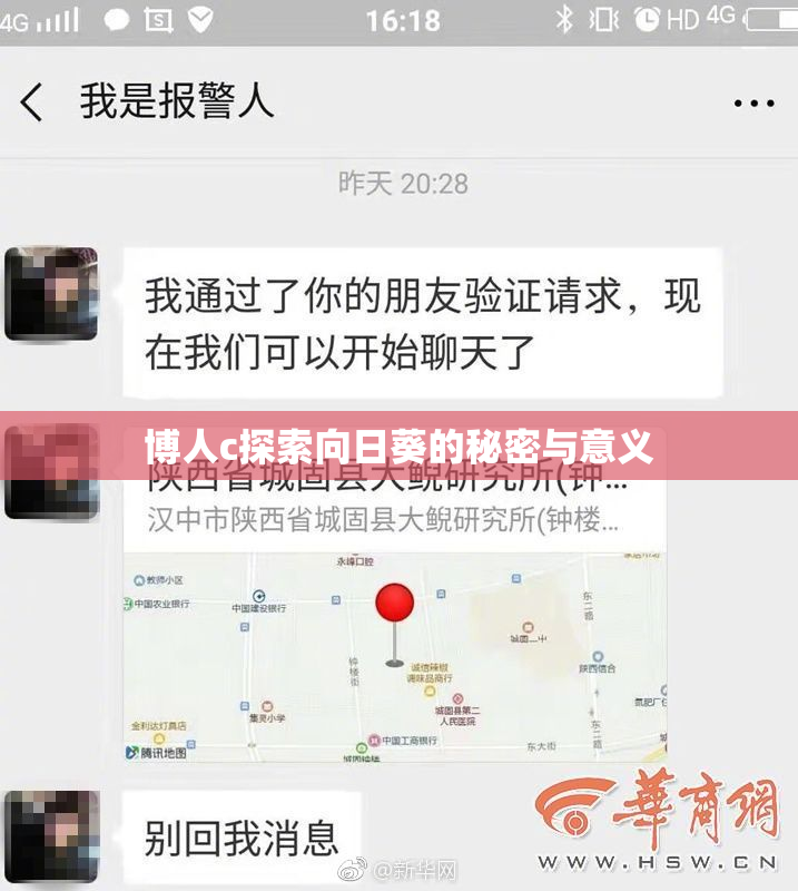 博人c探索向日葵的秘密与意义