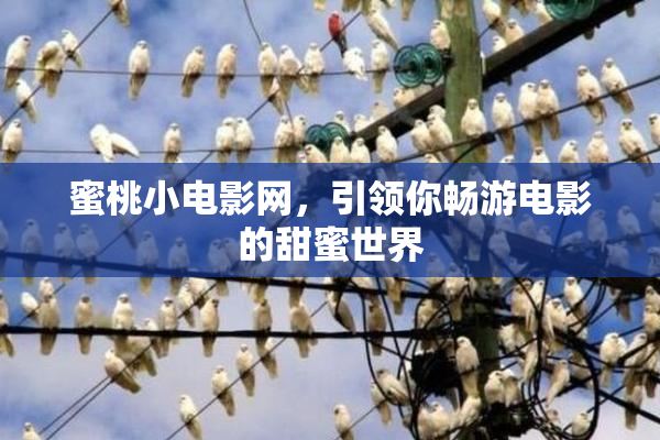 蜜桃小电影网，引领你畅游电影的甜蜜世界