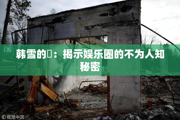 韩雪的婬：揭示娱乐圈的不为人知秘密