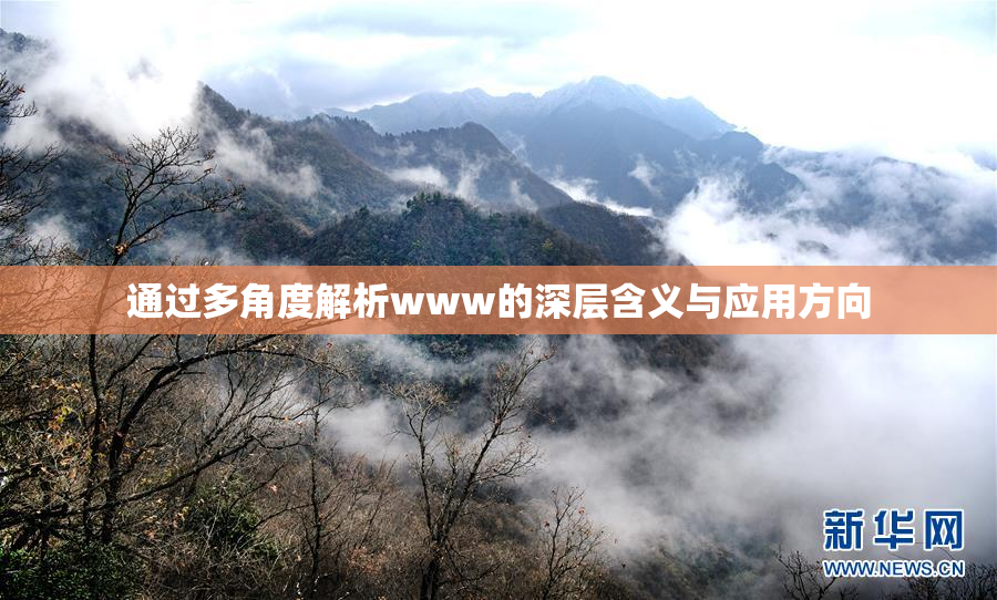 通过多角度解析www的深层含义与应用方向