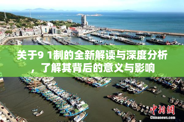 关于9 1制的全新解读与深度分析，了解其背后的意义与影响