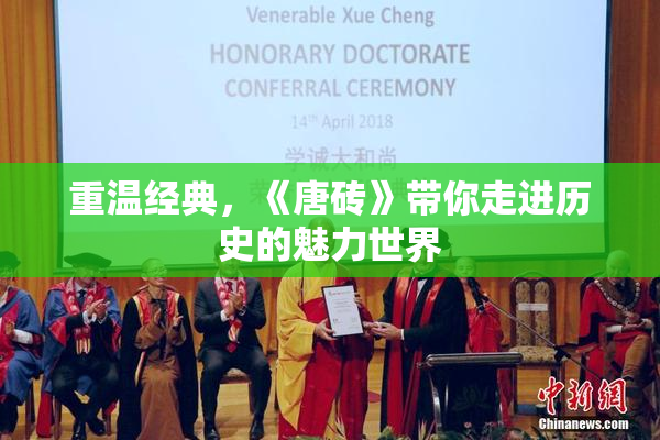 重温经典，《唐砖》带你走进历史的魅力世界