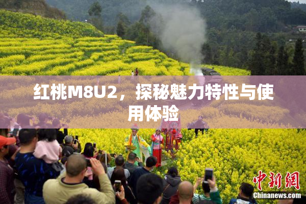 红桃M8U2，探秘魅力特性与使用体验