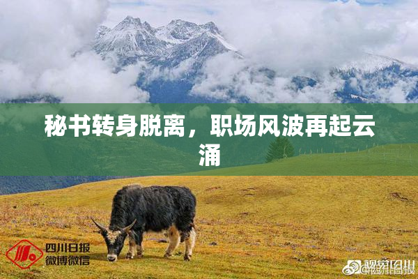 秘书转身脱离，职场风波再起云涌