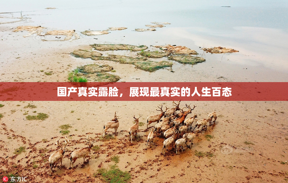 国产真实露脸，展现最真实的人生百态