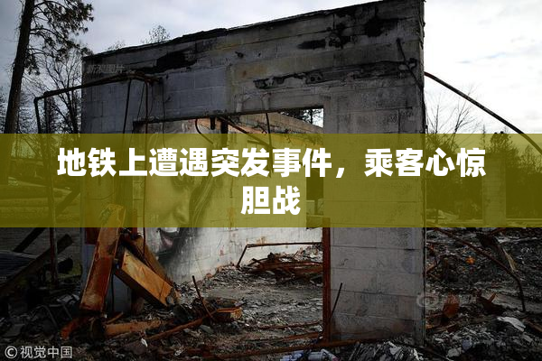 地铁上遭遇突发事件，乘客心惊胆战